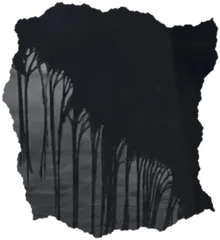 Black fringe hanging from a shawl, dripping like ink.